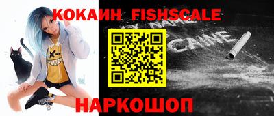 стафф Можга