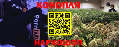 стафф Можга
